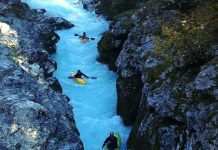 Tennis Match: Go Federer