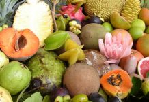 Kayaking: Adventurous Sport