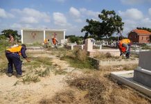 Arrancó el plan Carirubana Bella 2023