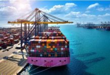 Avex aspira crecimiento del 20% este año