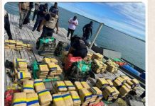PNB incauta 458 panelas de marihuana