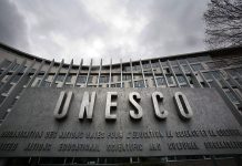 Unesco prepara medidas para regular plataformas digitales