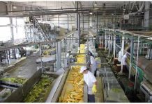 Industrias de alimentos operan a un 37% de su capacidad instalada