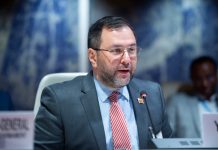 Venezuela sin recibir solicitud de Chile para deportaciones