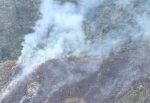 120 hectáreas afectadas por incendio en Parque Nacional Henri Pittier