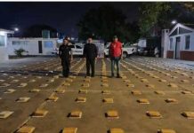 Localizan 375 Panelas de marihuana en el sector Ánimas de Cuica