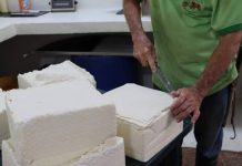 Venezuela, segundo productor de queso de América Latina