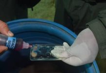 12 toneladas de droga fueron incautadas en el estado Zulia