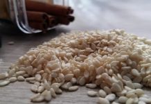 Producción de ajonjolí registró un declive del 50% entre 2020 y 2022