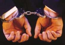 Vendía iguanas y lo agarró el Cicpc Privada de libertad madre por presunto abuso sexual de sus tres hijos