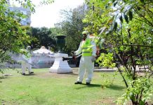 Casos de dengue aumentan 74.9 % en Argentina