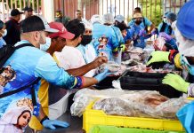 Venezuela come pescado llega a todos los municipios de Falcón