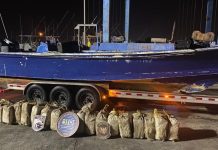 Detienen en Puerto Rico a tres venezolanos con cocaína valorada en 32 millones