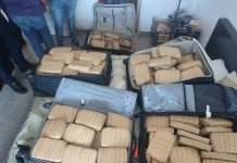 Incautan 251 panelas de droga en Nueva Esparta