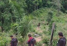 Hombre muere en enfrentamiento en Mauroa