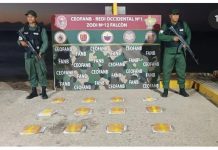 Localizan 12 panelas de marihuana en La Bocaina