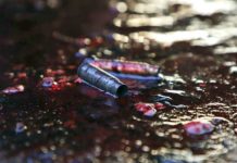 Exigen justicia tras crimen contra hondureños en Texas