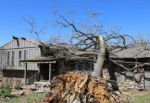 Tormenta deja varios muertos en Estados Unidos