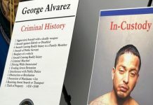 Autor del arrollamiento en Texas tiene 17 antecedentes penales