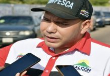 Falcón avanza entre los primeros estados en producción pesquera y acuícola