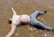 Pescadores de playa Sur de Adicora localizan cadáver