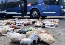 Capturan en Chile a 11 miembros del Tren de Aragua