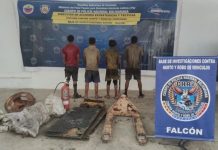 Detuvieron banda dedicada a desvalijar embarcaciones en Carirubana
