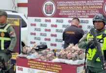 Incautan 12 kilos de cocaína en Zulia
