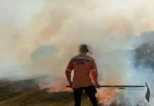 Afectadas dos hectáreas de terreno en incendio