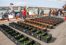 Paraguaná reactiva intercambio comercial con Aruba