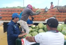 Afianzan exportaciones desde Falcón hacia Curazao y Aruba