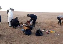 Encuentran restos de venezolana en desierto chileno