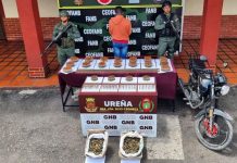 Detienen a un hombre con casi 5.000 municiones