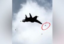 Sukhoi cayó a causa de un ave