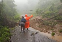 Siete municipios del estado Sucre afectados por lluvias