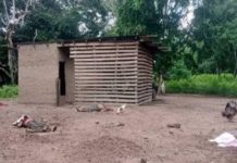 Asesinados cuatro hombres a tiros en una zona boscosa