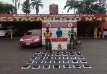 Incautan 35 panelas de marihuana