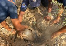 Localizan 32 kilos de droga en playa Mata Gorda