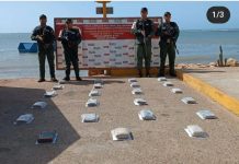 Localiza 23 panelas más en el sector Las Cumaraguas