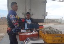 Las Adjuntas se benefició con una tonelada de pescado