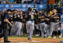 Leones tiene nuevo jardinero