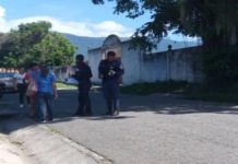 Niño de tres años murió aplastado por rama de un árbol