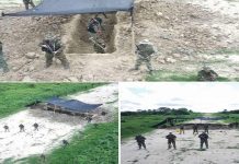 Destruyen dos avionetas vinculadas al narcotráfico