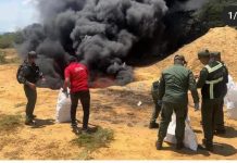 Incineran 455 panelas de cocaína incautadas en Mitare