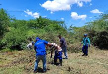 Realizan operativo de saneamiento en estación de bombeo Caja de Agua de Coro