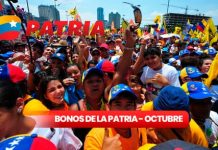 Subsidios o bonos que llegarán del 1 al 7 de octubre