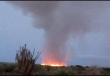 Reportan Incendio en La Bocaina del municipio Falcón