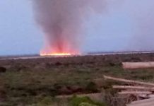 Incendio en La Bocaina a consumido dos hectáreas de vegetación