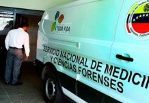Sexagenario muere corneado por un toro