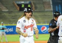 Águilas vuelan alto en casa